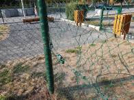 poškozené ochranné pletivo.jpg
